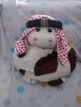 Disfarce de arabe para o carnaval