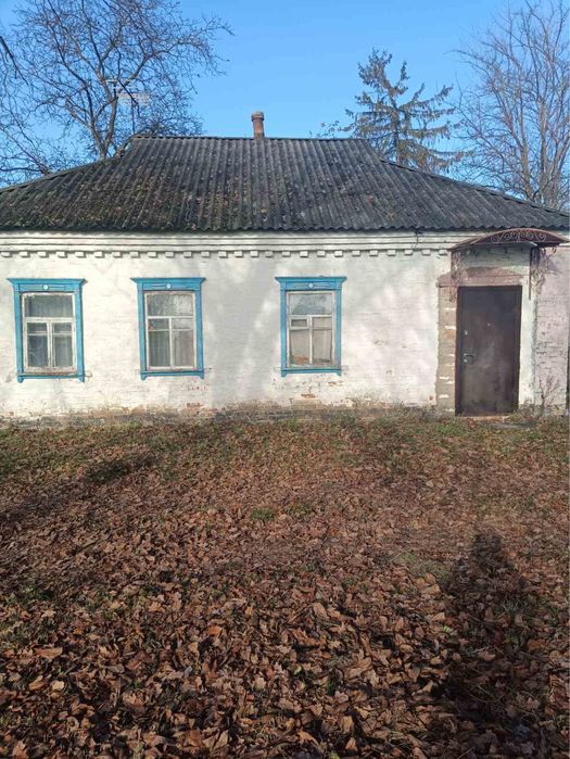 Газифікований будинок в селі Комишня з великою ділянкою