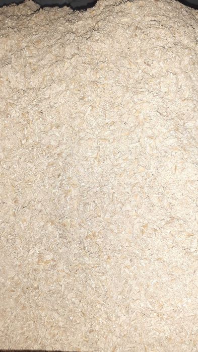 Sprzedam Otręby Jęczmienne