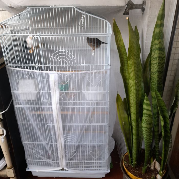 Vendo gaiola grande, como nova