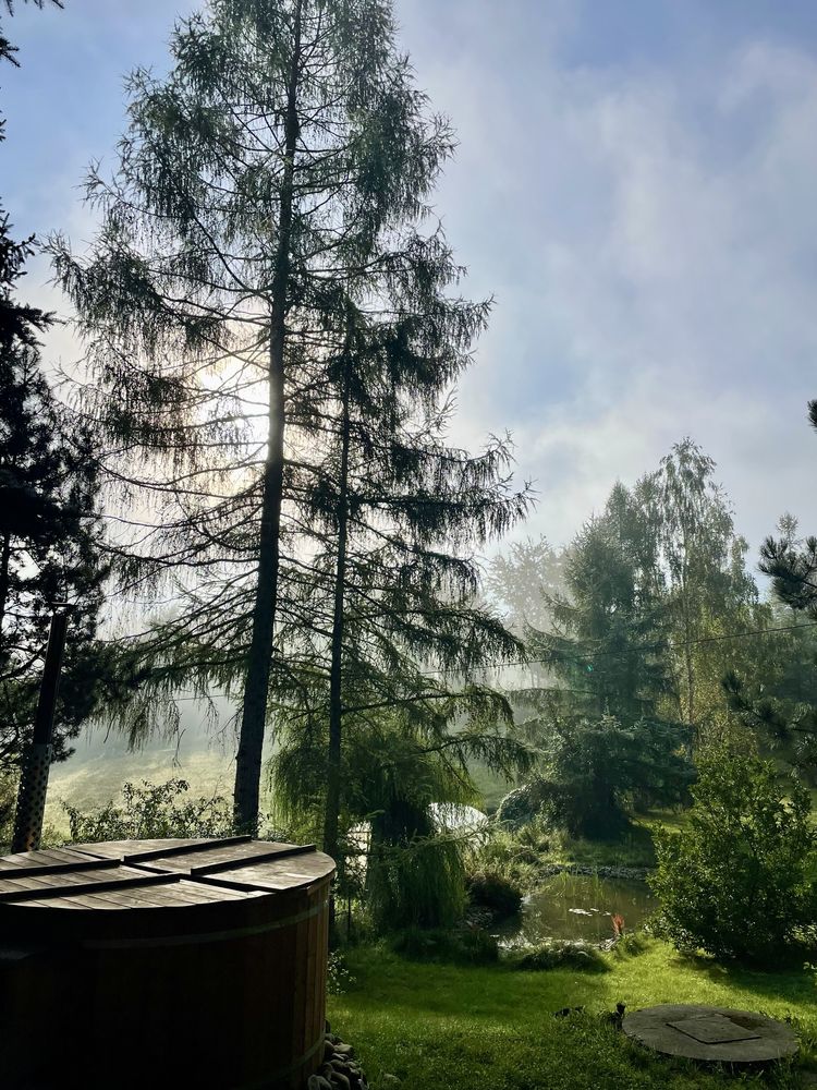 Drewniany dom z basenem i ogrodzonym ogrodem na wyłączność