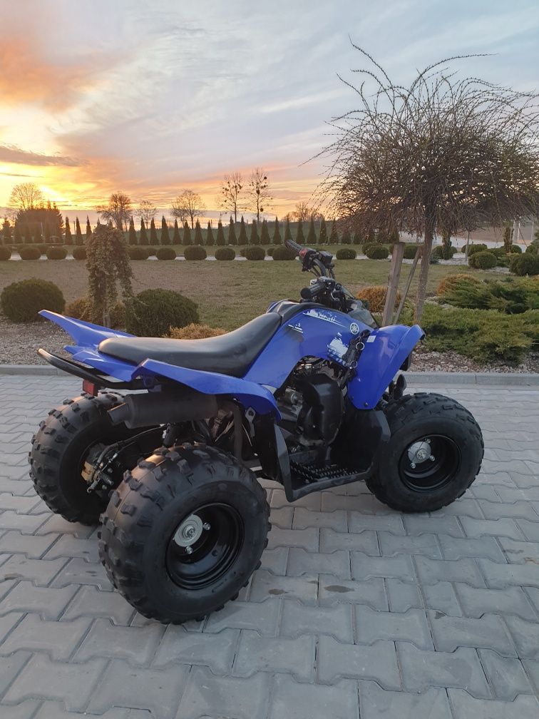 Yamaha raptor 90