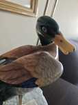 Pato real porcelana