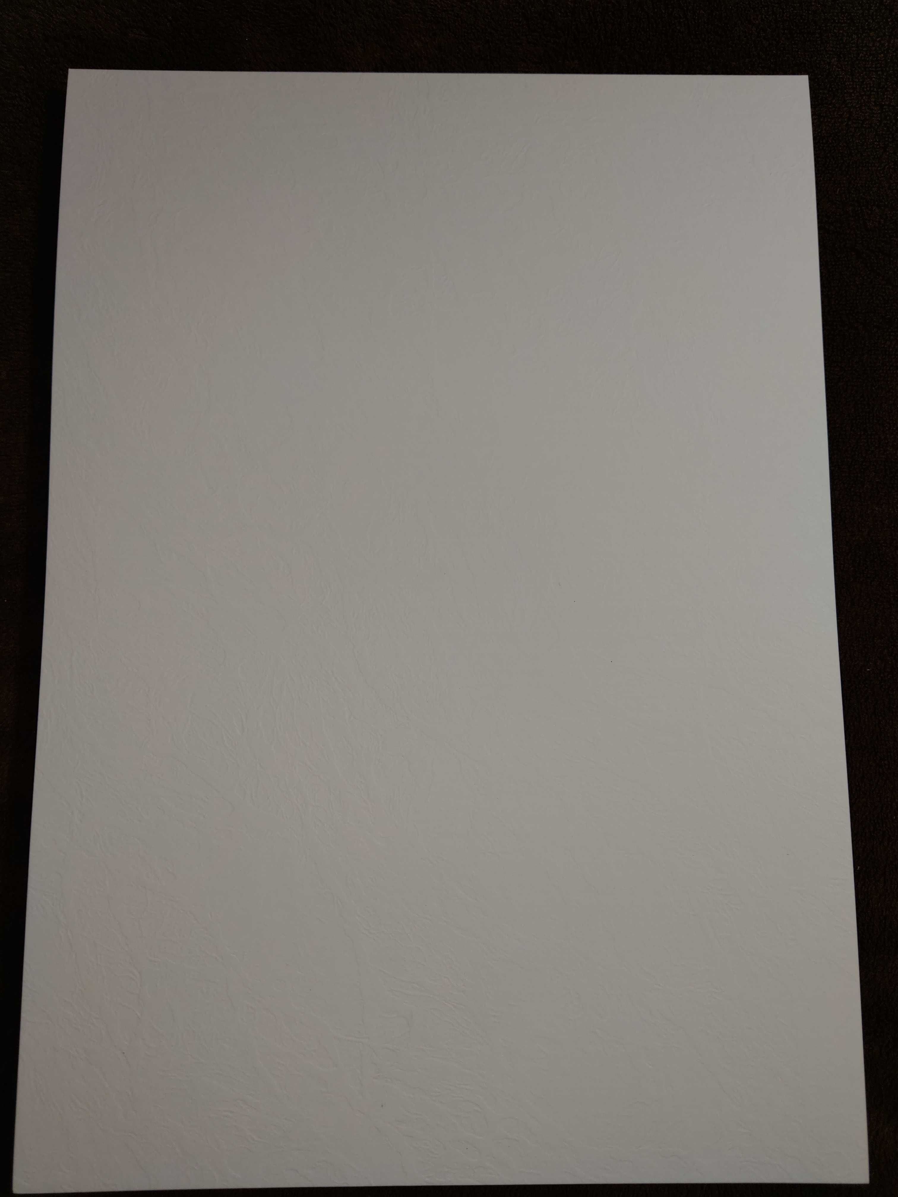 Papier ozdobny wizytówkowy Biały Skóra 36szt