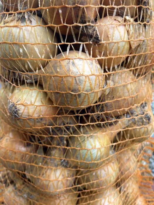 Cebula żółta 10 kg