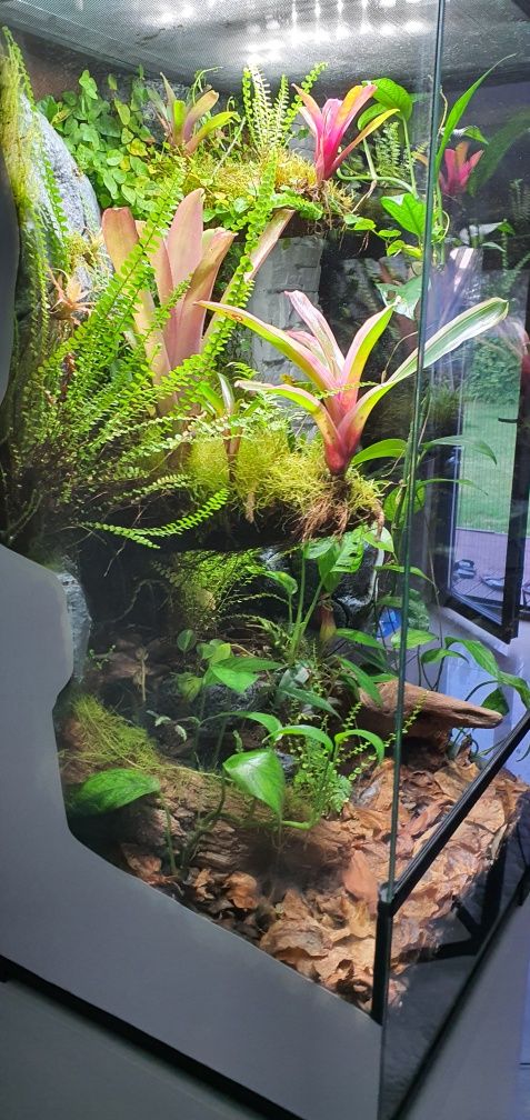 Terrarium, paludarium z wystrojem  i  szafką