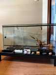 Terrarium szklane 100x40x50, idealne dla agamy, brodatej.