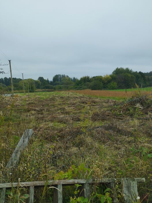 Продам будинок в селі Дермань 3.5га