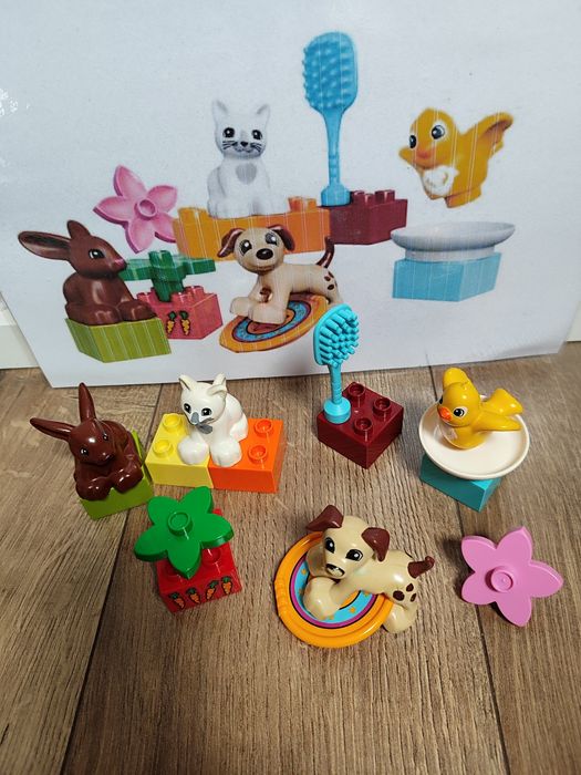 Klocki LEGO Duplo 10838