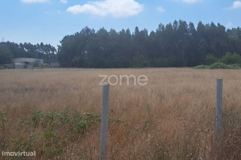 Terreno Para Construção Carreiros, Sanguinheira, Cantanhede.