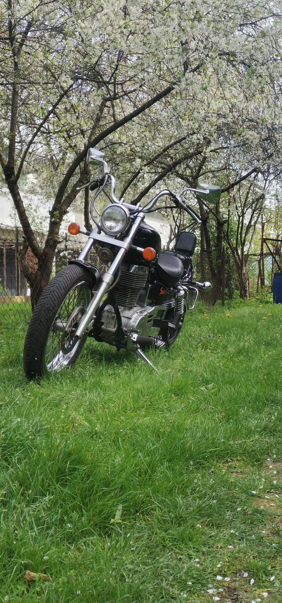 Suzuki Savage LS 650