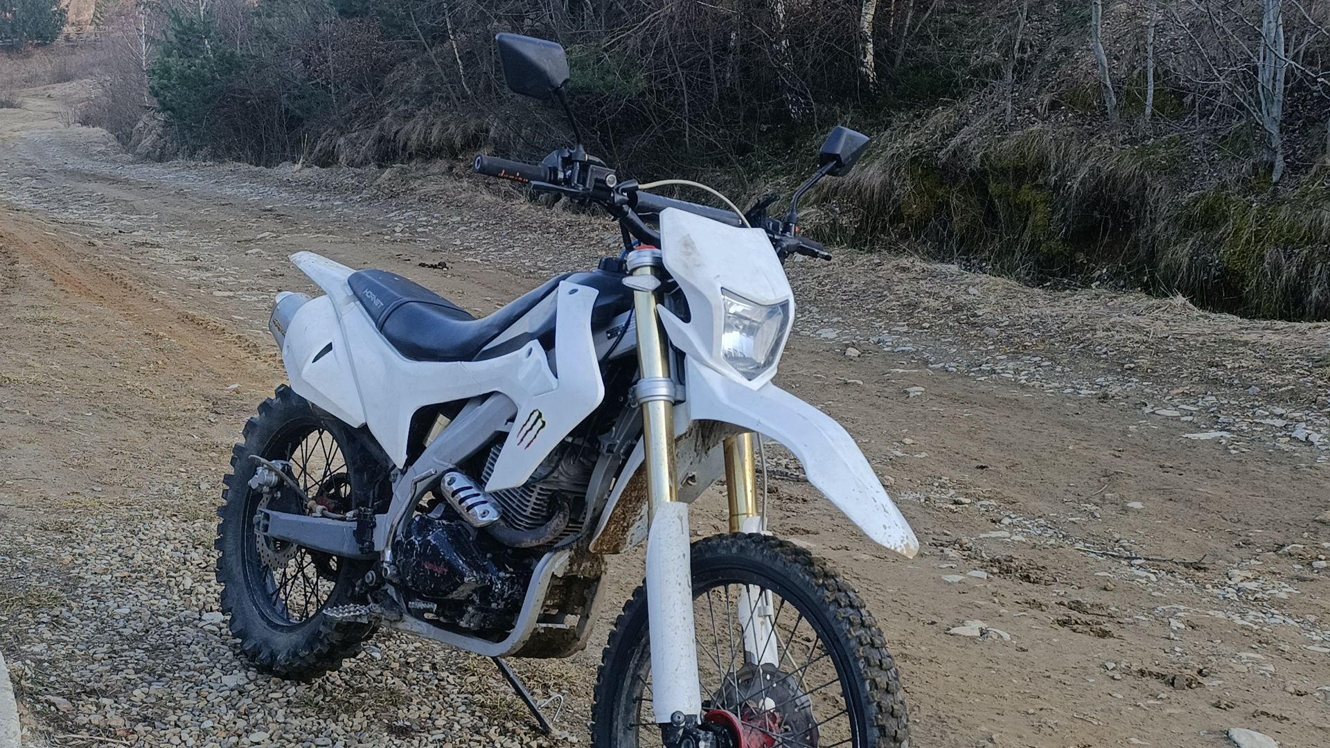 Hornet Dakar pro