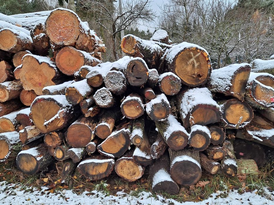 Sprzedam drewno opalowe