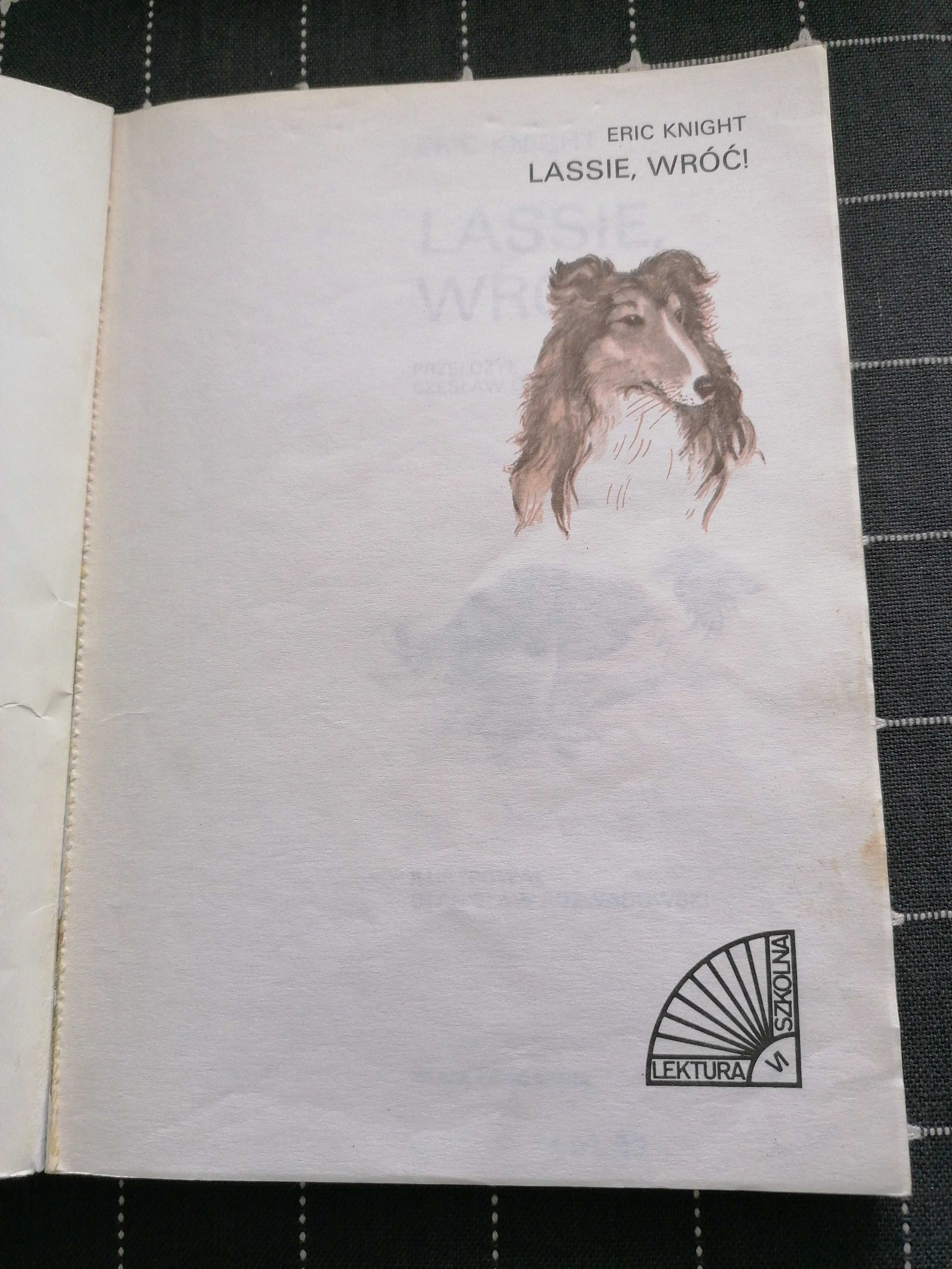Lassie, wróć! Klasyk, rok wydania 1992