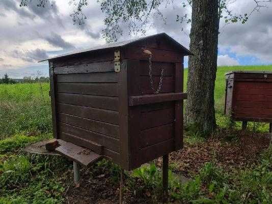 Sprzedam pszczoły w ulach
