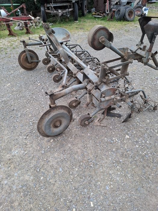 Wielorak planetka pielnik