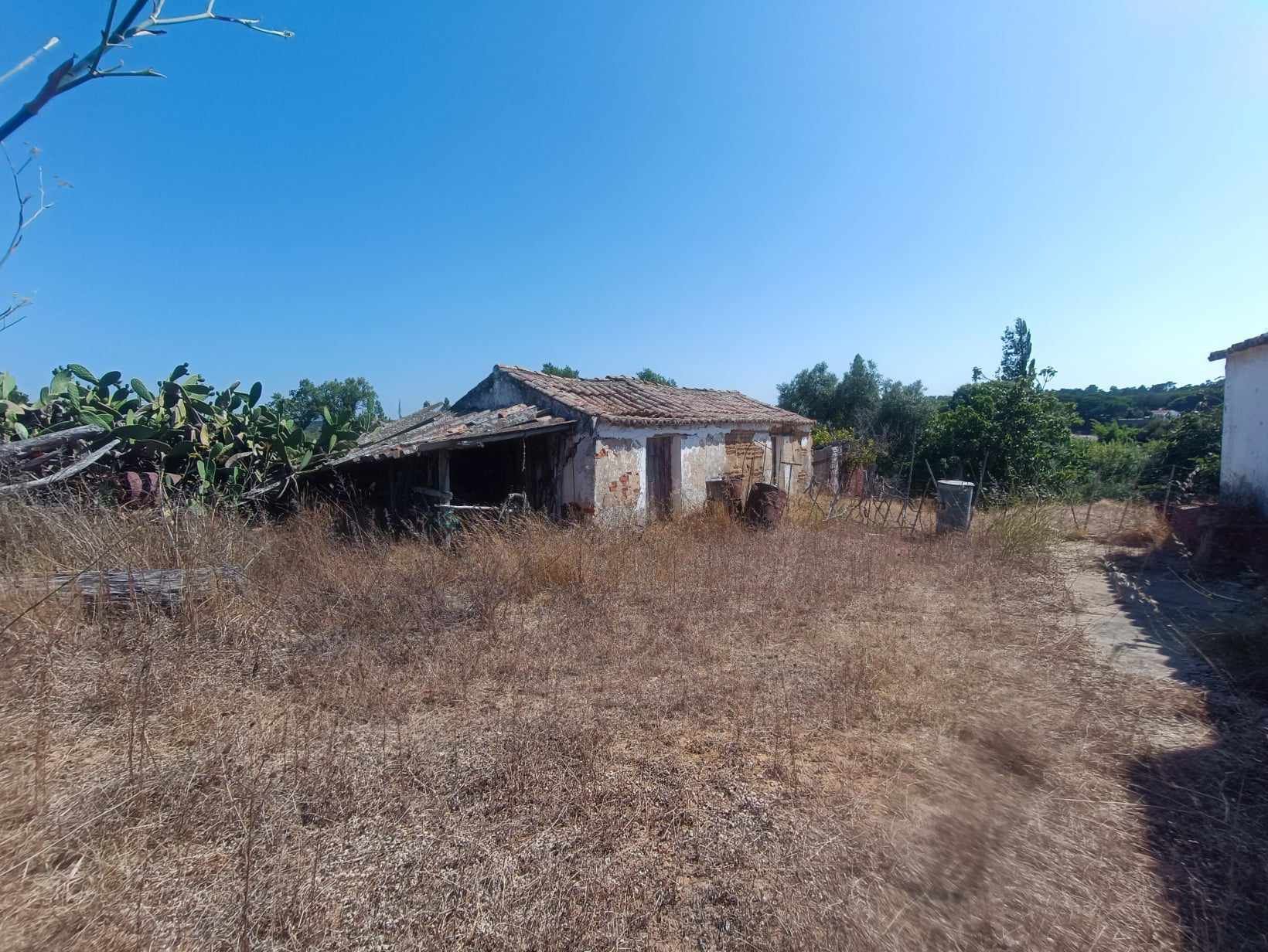 Terreno com 2 casas em Ruína