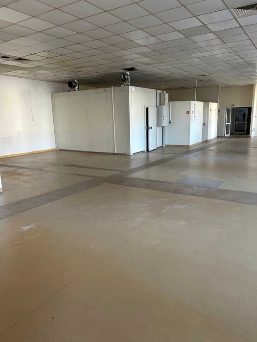 lokal użytkowy 700 m2 w Radomiu ul.Słowackiego 100