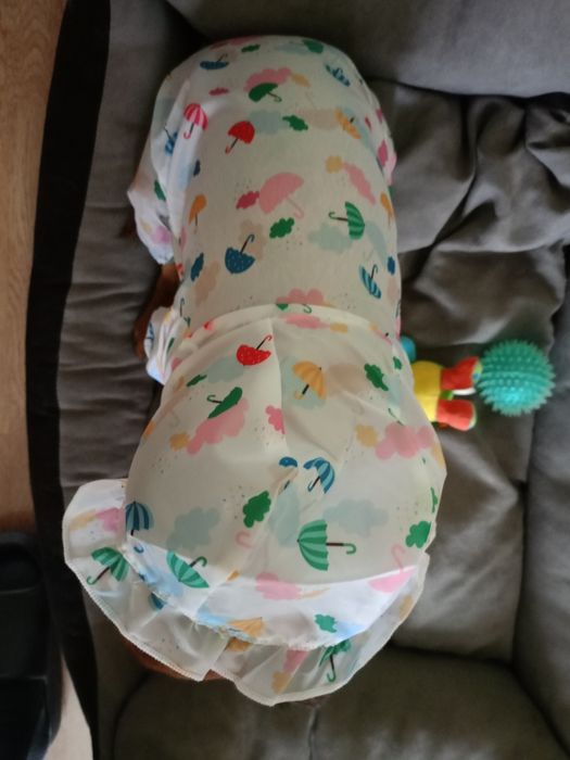 Pelerynka dla pieska lub kotka