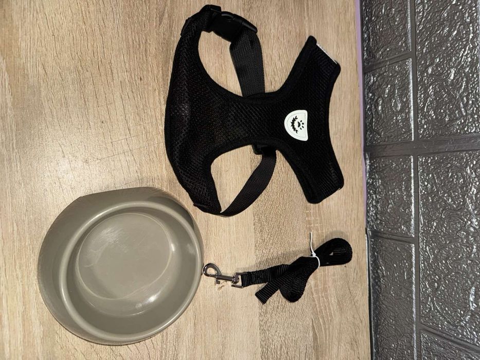 Повідок для собак.