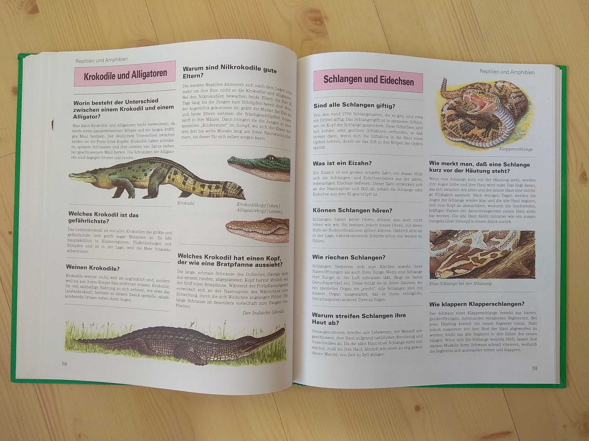 Książka po niemiecku dla dzieci, Wissen für Kinder-Tiere