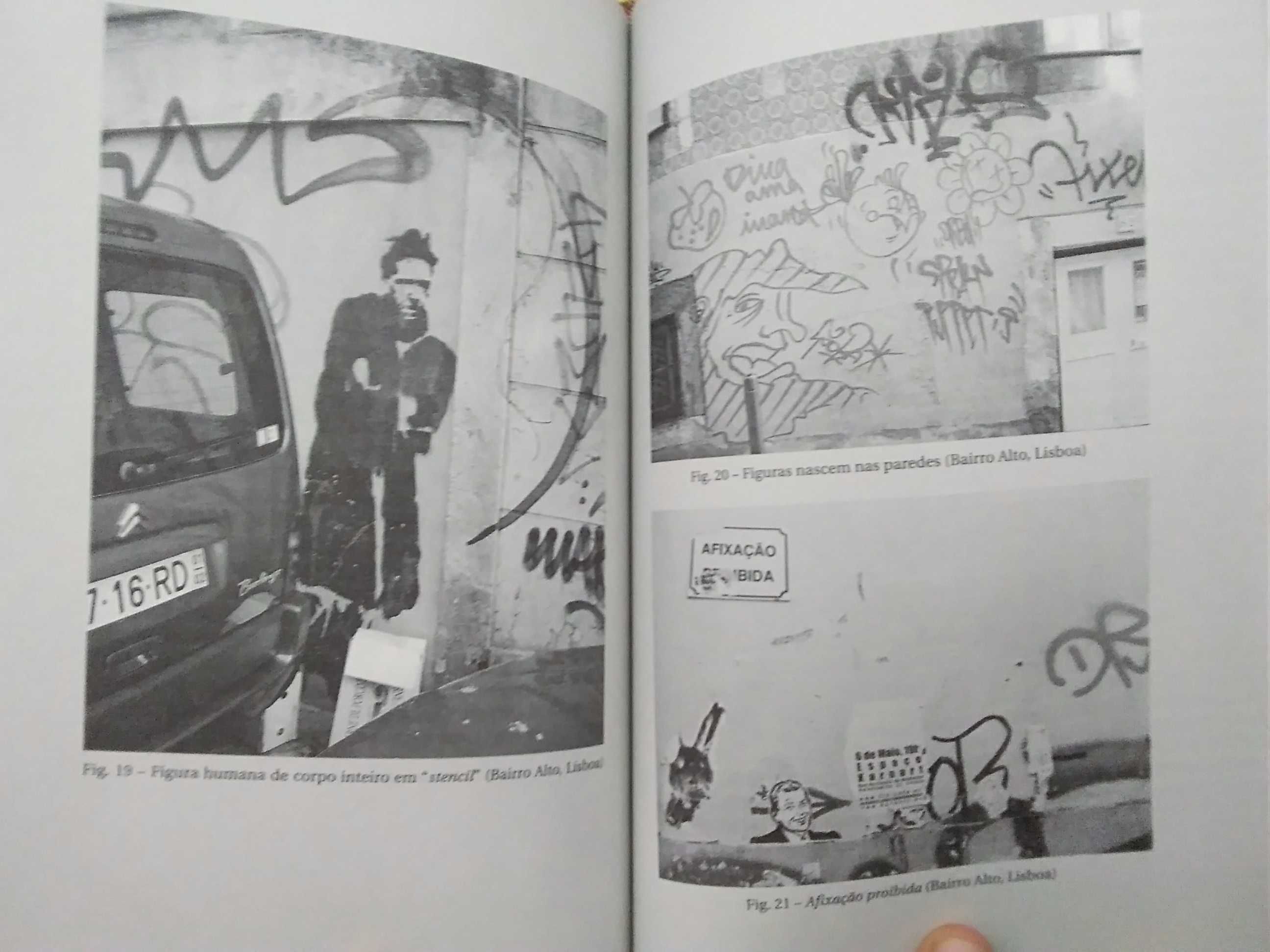 Porque Pintamos a Cidade? - Uma Abordagem Etnográfica do Graffiti