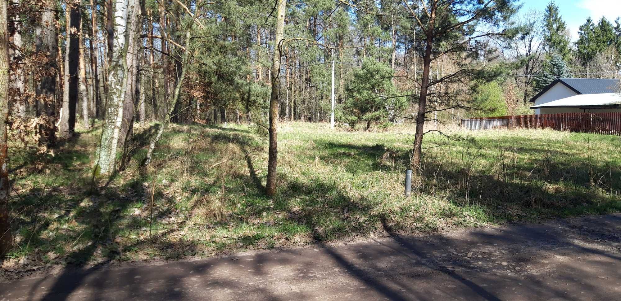 Działka w lesie (leśna polana)