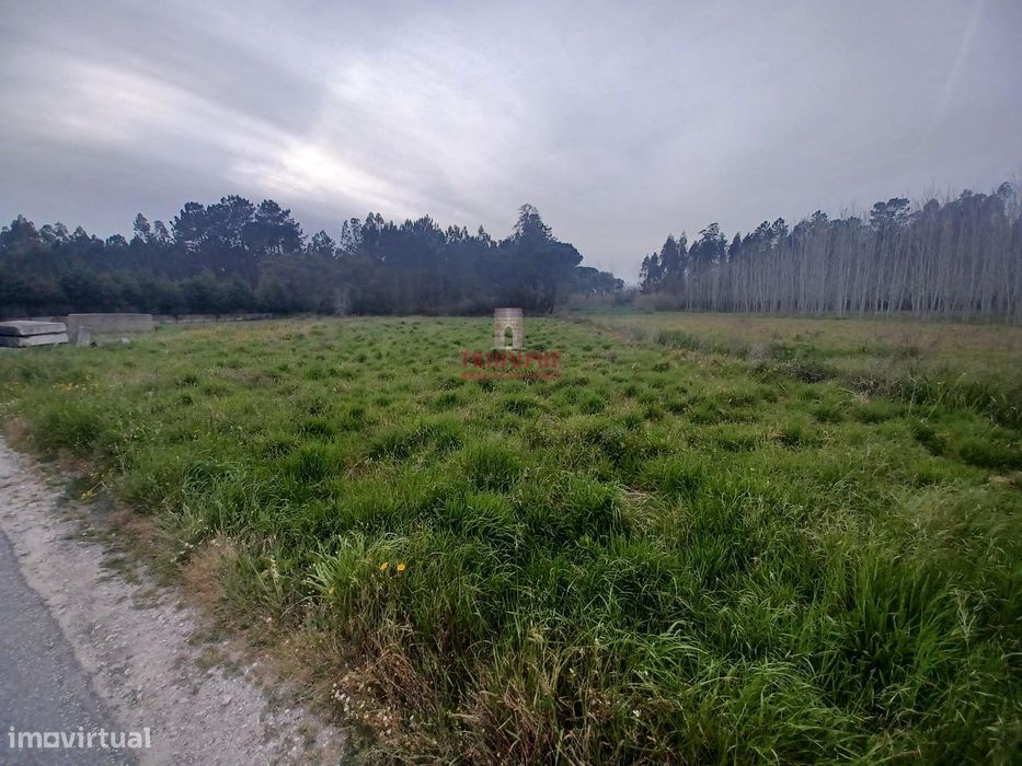 Terreno Rústico C/Poço 1.716m2 Amor Leiria