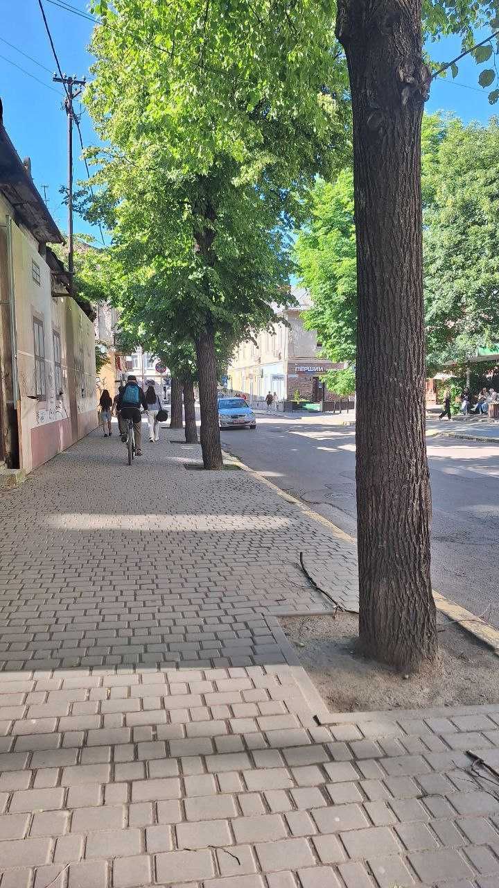 Здається фасадне приміщення в центрі міста (початок Коновальця)