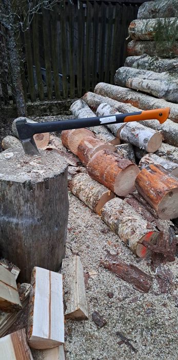 Cięcie drewna, wycinka drzew