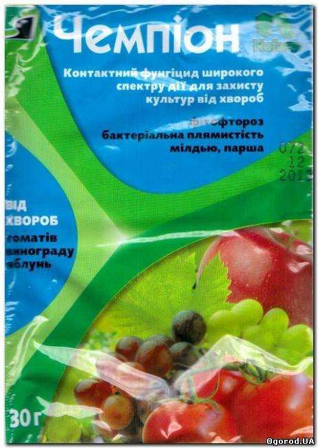 Чемпион