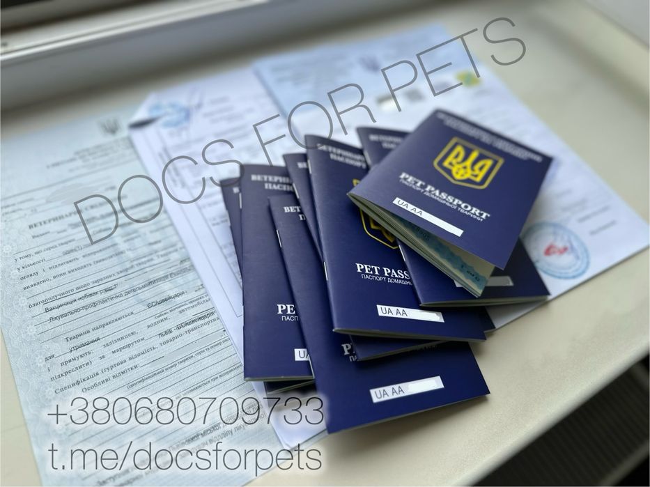 Срочные Документи для котов собак за границу титр чип сертификат