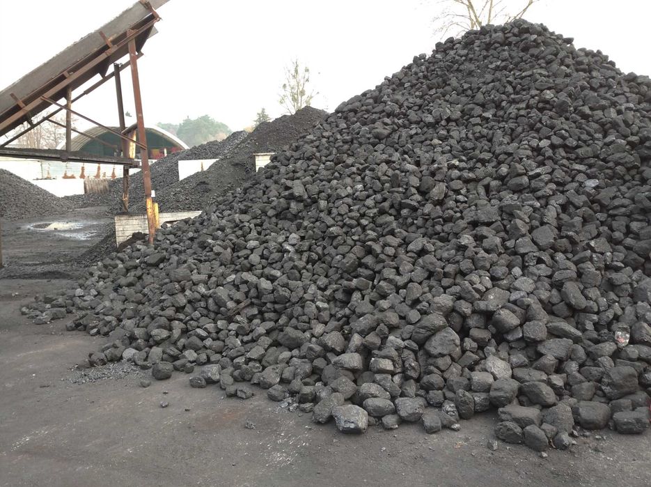 Kora Kamienna Kórnik Borówiec Mosina