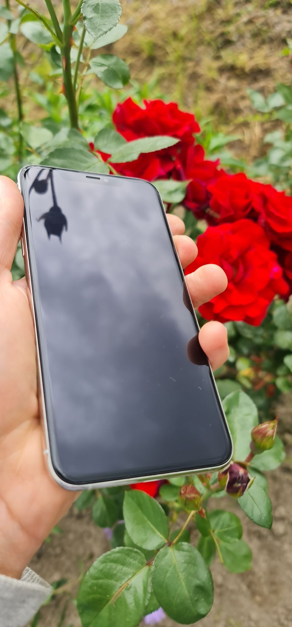 Iphone 11 pro max 256gb Ios 15