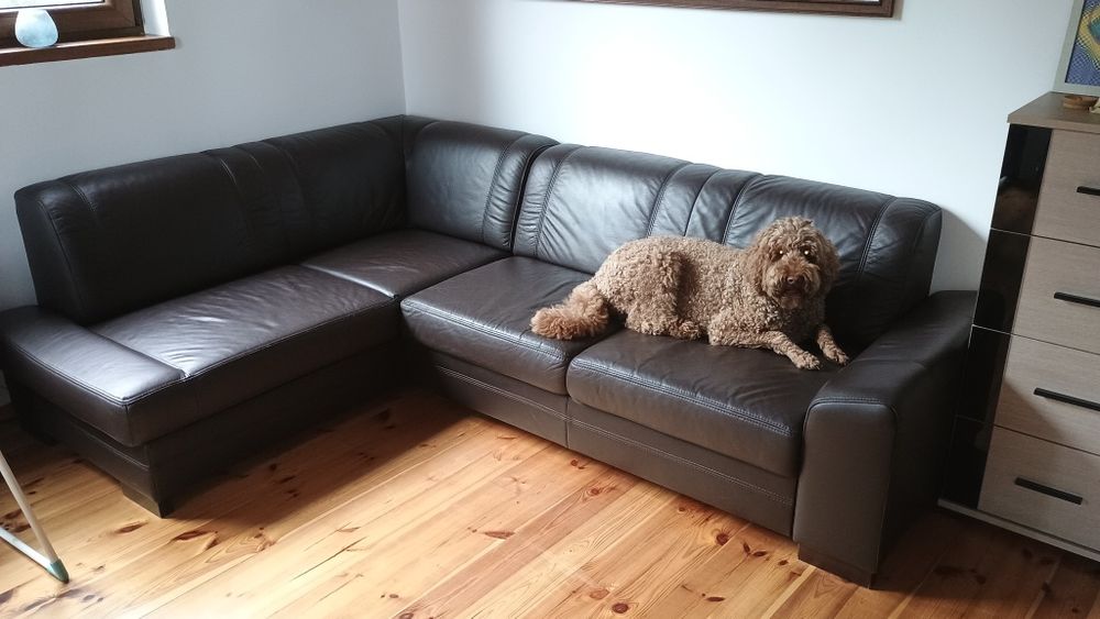 Sofa narożna z eko skóry rozkładana z funkcją spania