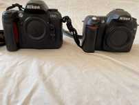 Nikon D100-Nikon D50