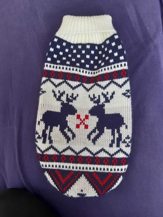 Ubranko dla małego pieska, szczeniaczka