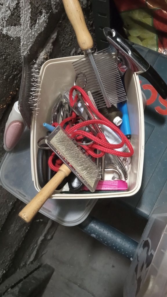 Akcesoria dla pieska