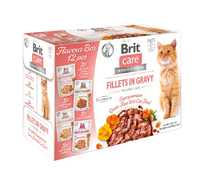 BRIT CARE  cat fg flavour box pouch (12 saszetek x 85g)