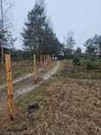 Ogrodzenie Lesne Tymczasowe Budowlane ranco