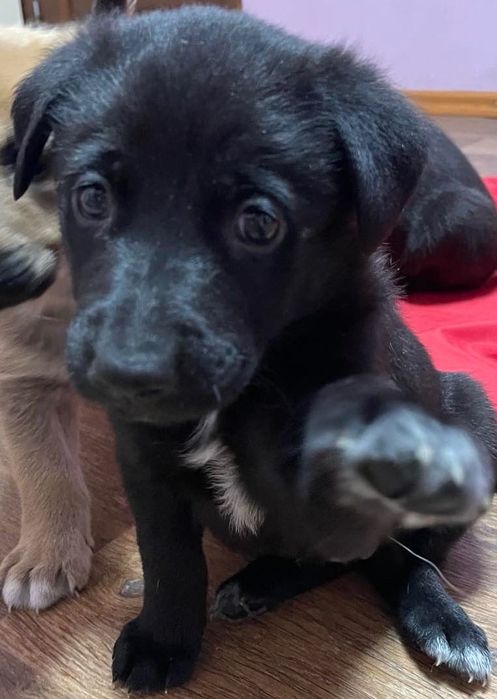 Масаж і реабілітація