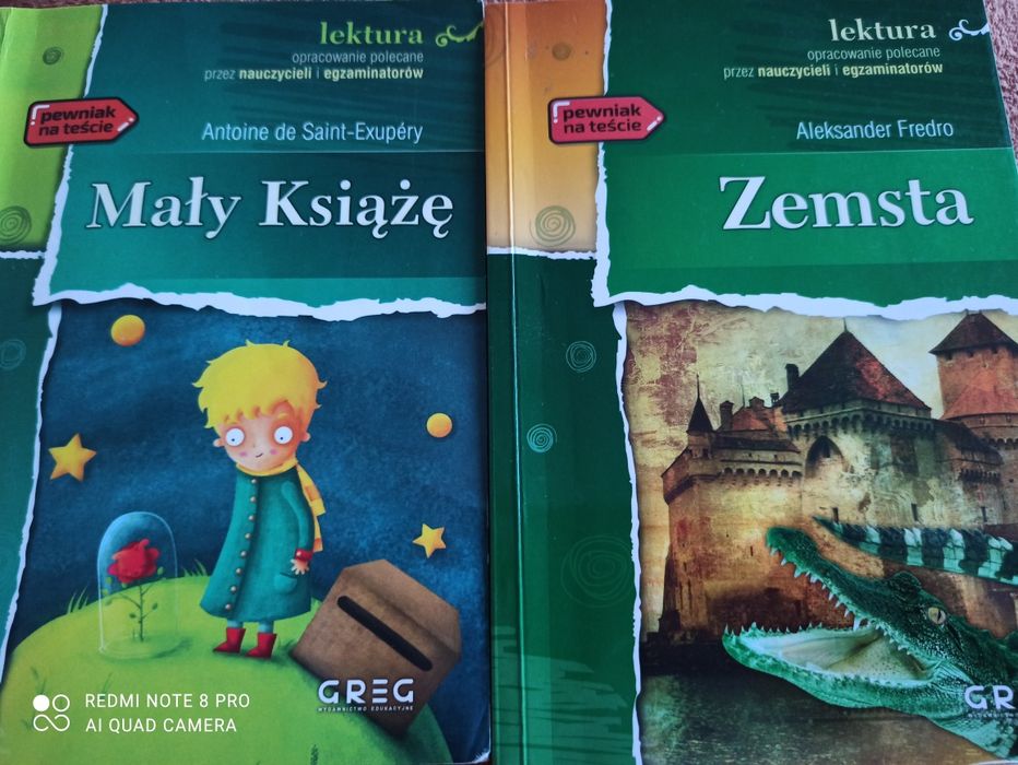 Mały Książę Zemsta lektura i opracowanie GREG
