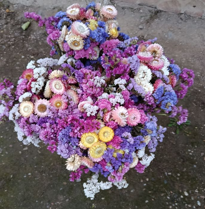 Zatrwian z kocanką suszone bukiety