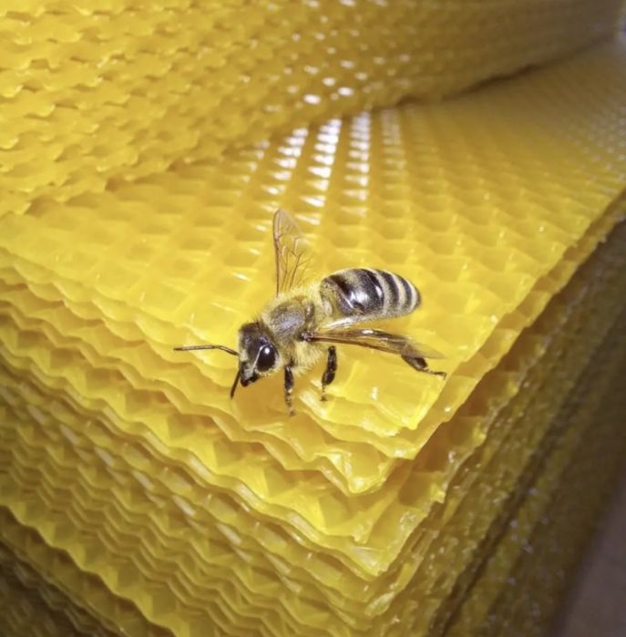 Вощина Дадан 20-кг.300мм