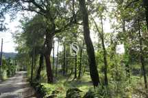 Terreno com 2.860m2 em Castelões