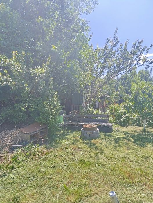 Дача біля Чепеліївки