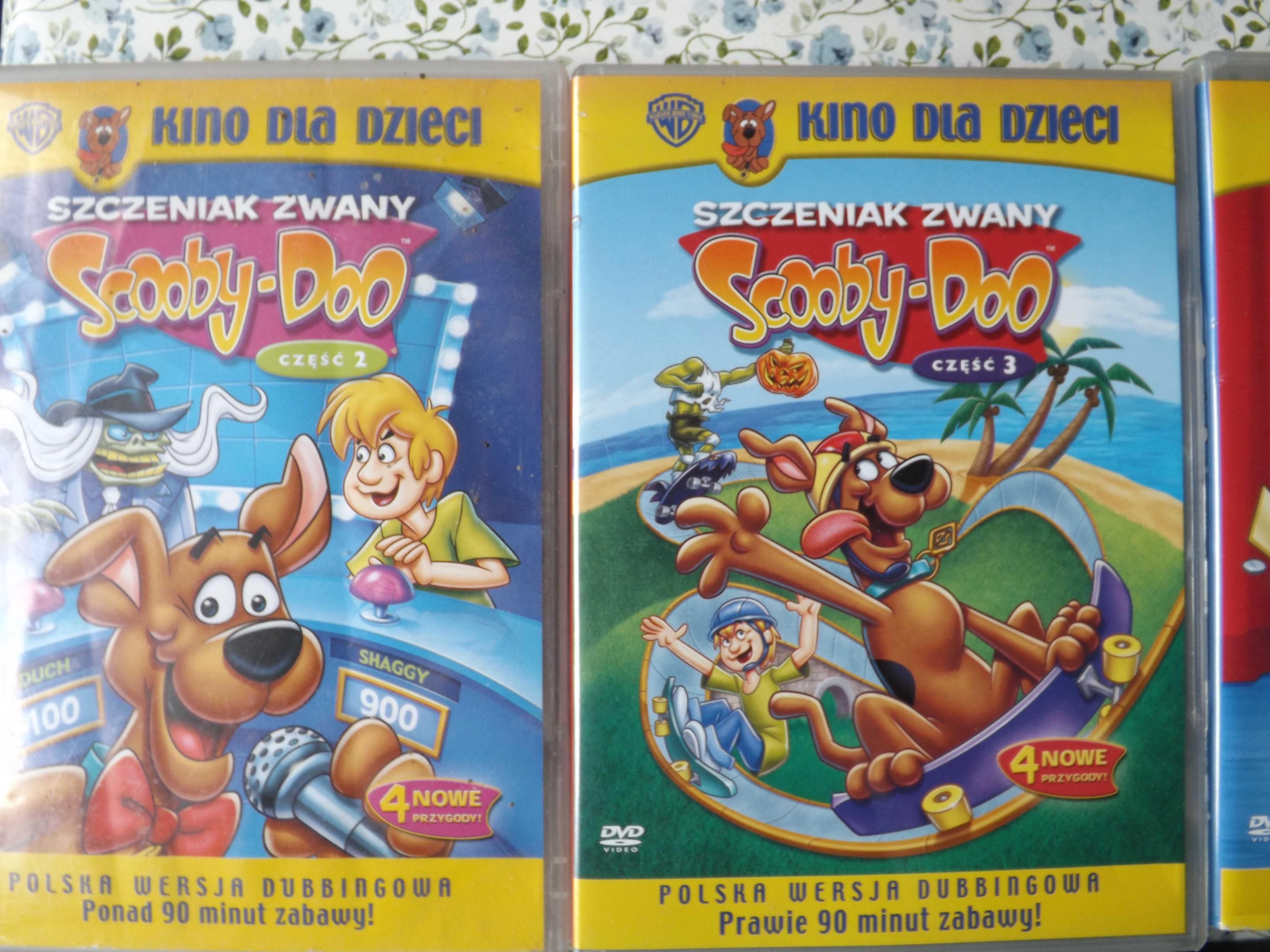 Szczeniak zwany Scooby Doo, zagadki, bracia Boo bajki dvd