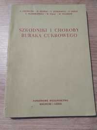 Szkodniki i choroby buraka cukrowego Pietrucha Żetwin