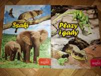 "Ssaki"," Płazy I gady"- Biały kot