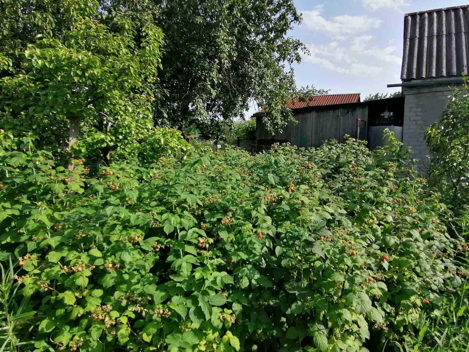 Участок под застройку (р-н Кулебовка, ул. Жлуктенка)